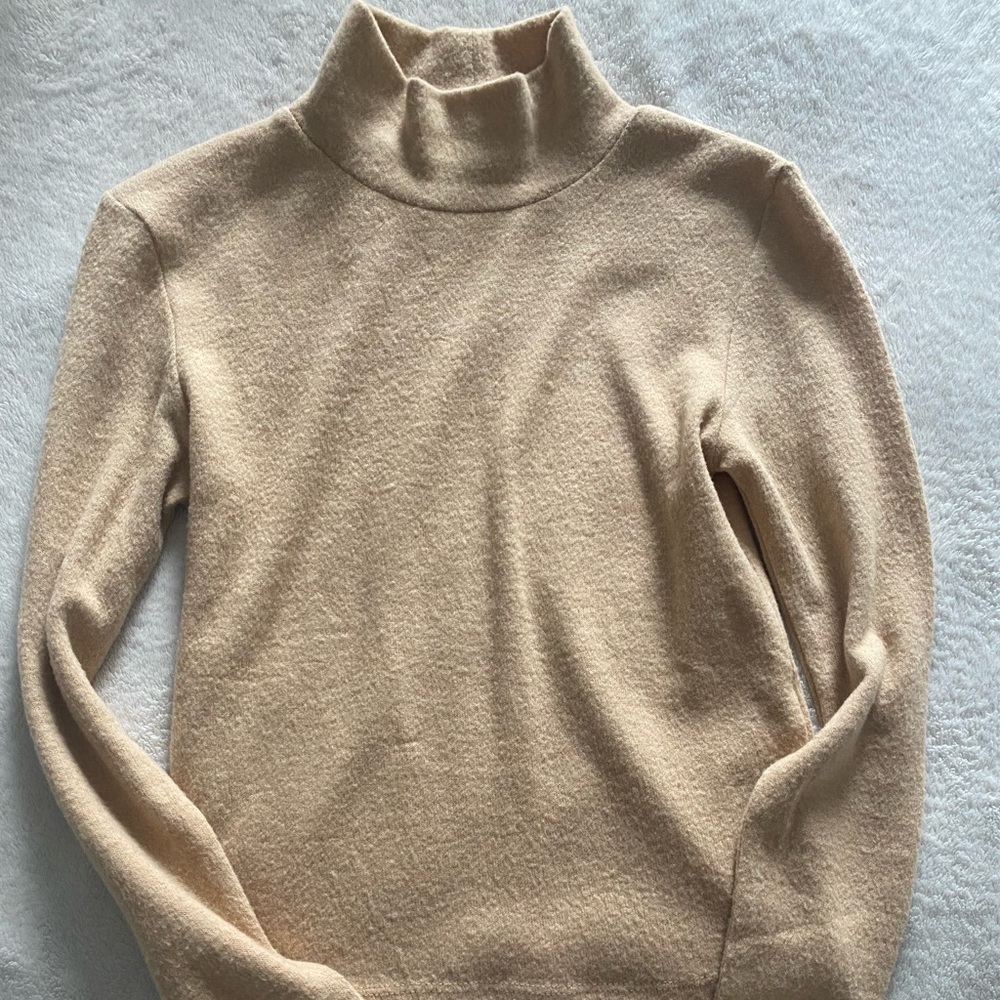 ZARA Cropped Mock Turtle Neck